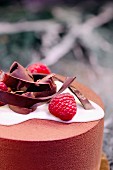 Raspberry and chocolate mousse with cream