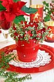 Foliage plant with flower-shaped fairy lights in red pot on plate; poinsettia in background