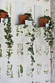 Hängepflanzen in Tontöpfen auf weißen Metall-Wandkonsolen, Tapete mit botanischem Motiv