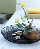 Deko im fernöstlichen Stil: Orchidee, Muscheln und Seesterne in flacher Schale aus Drahtgeflecht
