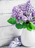 Bouquet of lilac in white jug against wooden wall