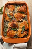 Roasted chicken thighs in a creamy kale sauce