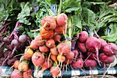 Various types of beetroot in bundles at a market