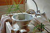 Metal bowl in stone sink flanked by papyrus plants