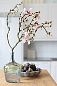 Flowering branch of magnolia in glass vase with bowl of fruit in background