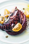 Grilled octopus with red onions, capers and tomatoes