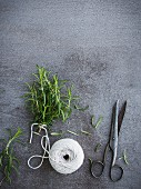 Rosemary sprigs being tied into a bundle for drying