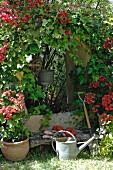 Watering can in front of vegetables on bench and arched opening in wall covered in red-flowering plant