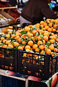 Clementines in crates at a market (Italy)