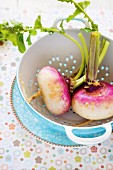 Two fresh turnips in a colander