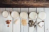 Various types of vegan milk in jars next to almonds, rice, oats, pumpkin seeds and coconut