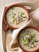 Cheese and leek soup with minced meat
