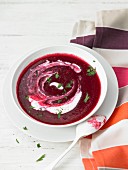 Bowl of Beet Soup with a Dollop of Sour Cream Garnished with Fennel; From Above