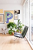 Filigrane Designersessel in Wohnbereich mit Retroflair, Zimmerpflanzen und Bildergalerie