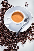 Espressotasse auf Kaffeebohnen