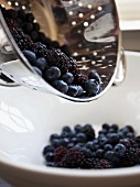 Freshly washed blackberries and blueberries being tipped from a colander into a bowl