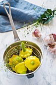 Yellow patty pan squash in a colander