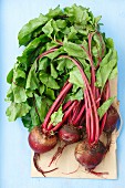 Young beetroots on a piece of paper
