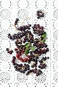 Aronia berries on a lace surface