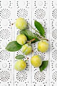 Green plums (Italica variety) on a lace surface