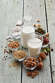Zutaten für veganen Milchersatz: Nüsse, Reis und Hülsenfrüchte