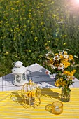 Laterne, Dekokäfig und Wiesenblumensträusse auf gelbweiss gestreiftem Tischtuch in Freiem