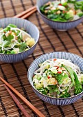 Gemüse-Nudel-Salat mit Koriandergrün (Asien)