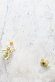 Two physalis' on a marble surface (seen from above)