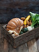 A crate of organic vegetables with pumpkin, potatoes, courgette, turnips and parsnips