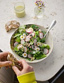 Leaf salad with radishes, daisies and crispy seed mix