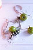 Green apples with sprigs of cedar as winter table decorations