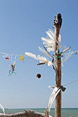 Driftwood sculpture on Prerow beach (Baltic sea, Germany)