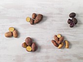 Sechs Kartoffelsorten - Linda, Laura, Agria, Blauer Schwede, Bamberger Hörnchen & La Ratte