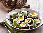 Boiled eggs with herb mayonnaise on lettuce