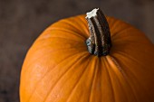 A pumpkin (close-up)