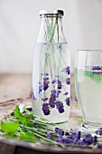 Gin and tonic with lavender flowers