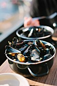 Mussels in white wine sauce in a saucepan