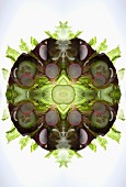 A digital composition of mirrored images of a mixed vegetable salad