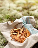 Dried apple slices on a cloth on a forest floor