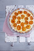 Apricot tart with fennel seeds