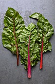 Three leaves of fresh red-stemmed chard on a grey stone surface
