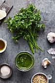 Various ingredients for parsley pesto on a grey metal surface