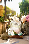 Roses in teapot, rosebuds under glass cover and bottle of Champagne on tea-time buffet