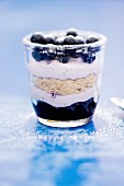Blueberry and macadamia nut cheesecake with cinnamon flowers in a jar