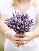 Frau hält Lavendelstrauss