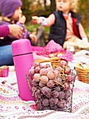 Grapes and a hot drink in a thermos flask for an autumn family picnic