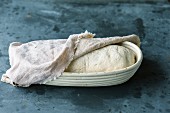 Bread dough rising in a leavening basket