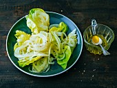 Green lettuce with fennel and vinaigrette