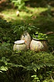 Vases covered with maps on mossy woodland floor