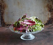 Colourful mixed leaf salad with beetroot sprouts on a round glass plate